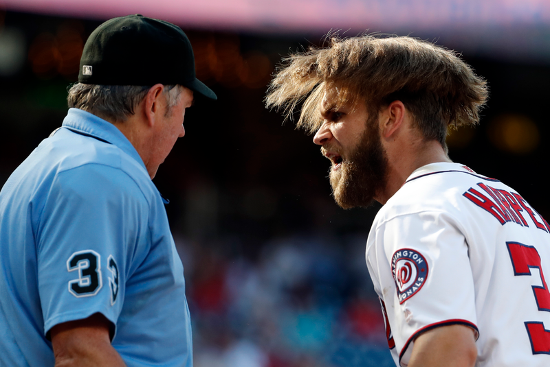 Illustration for article titled Look At Bryce Harper